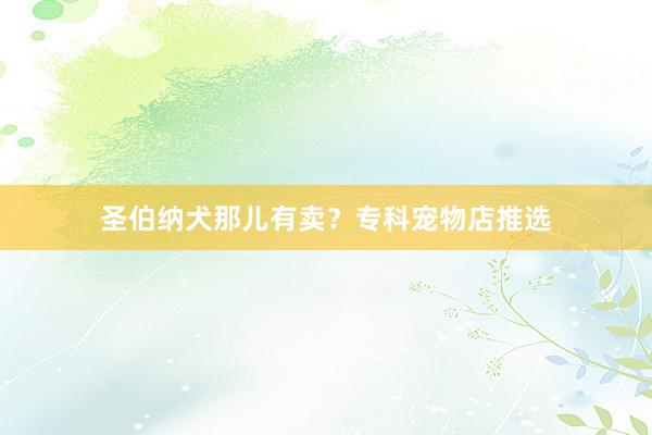 圣伯纳犬那儿有卖？专科宠物店推选